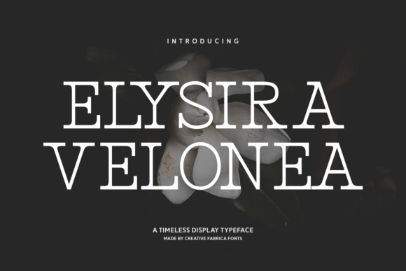 Elysira Velonea: A Font for Timeless Business Style