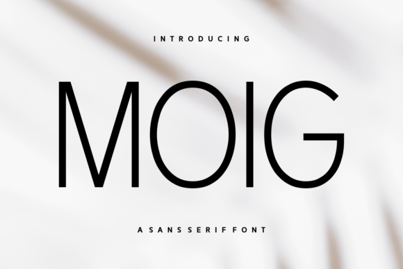Moig: A Font for Business Brilliance